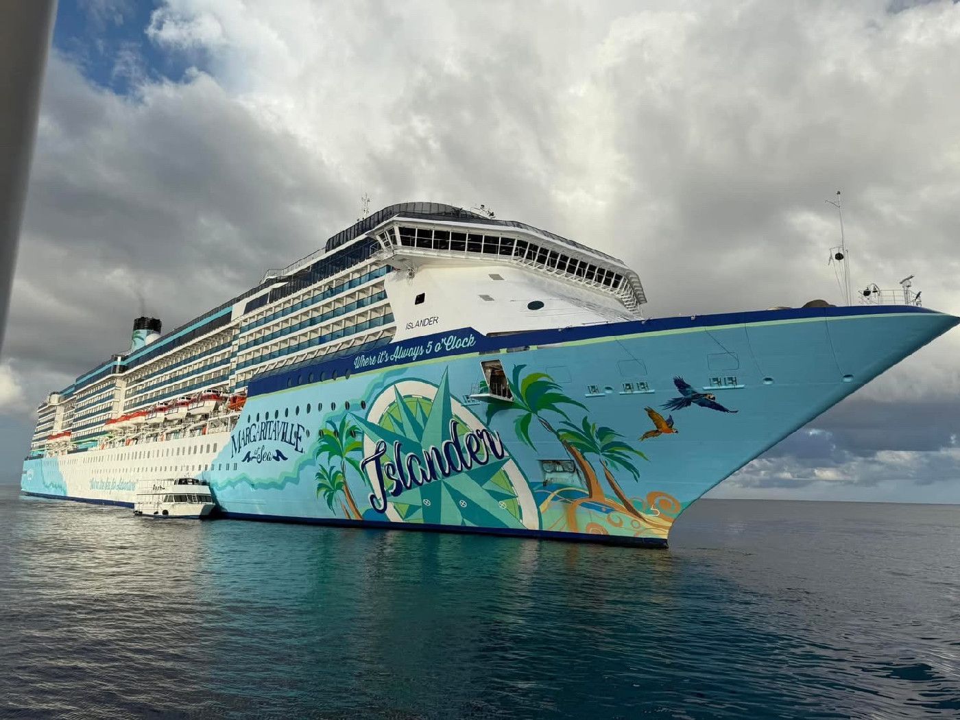 Margaritaville Islander - Margaritaville Islander