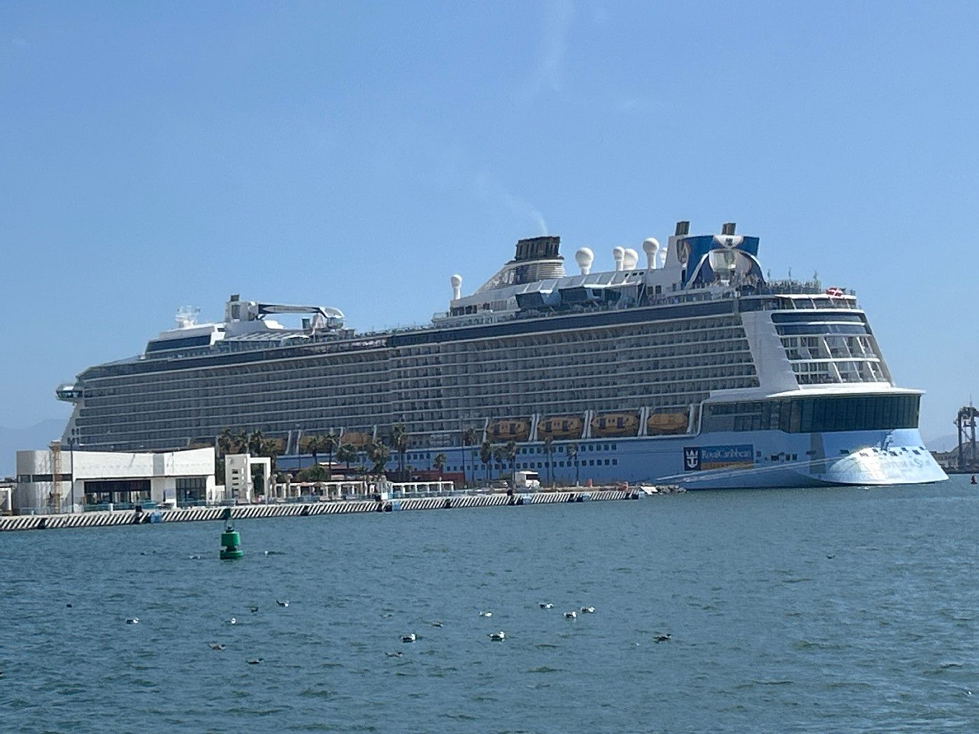 Quantum of the Seas - Quantum of the Seas