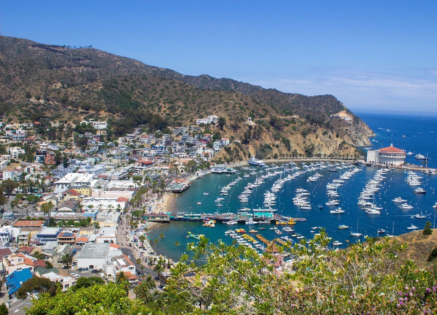 Catalina Island, California - Quantum of the Seas