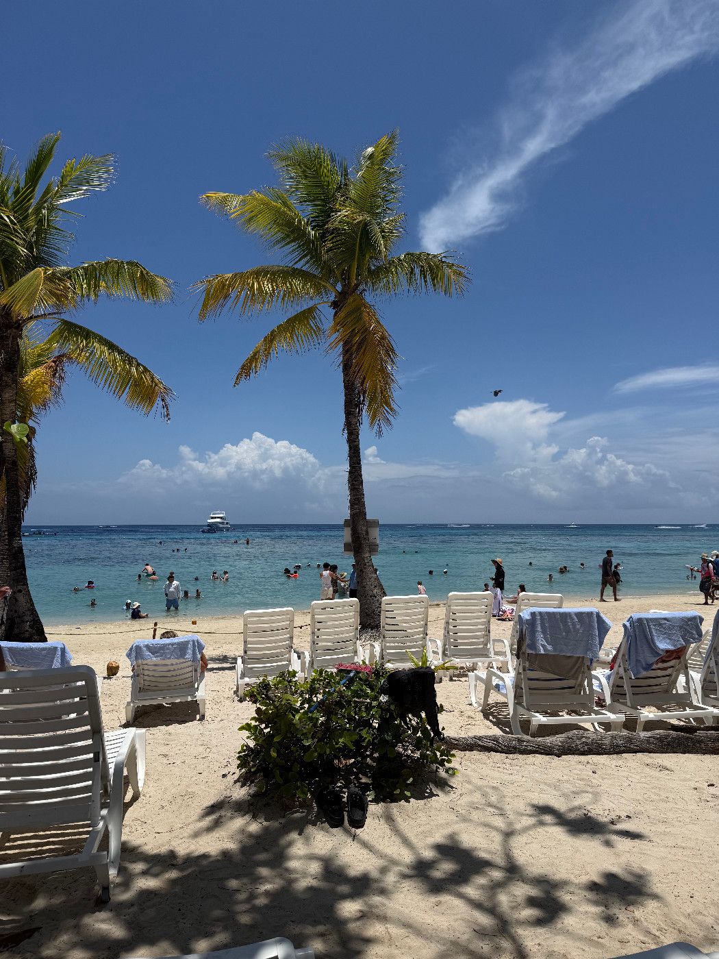 Coxen Hole, Roatan, Bay Islands, Honduras - MSC Seascape