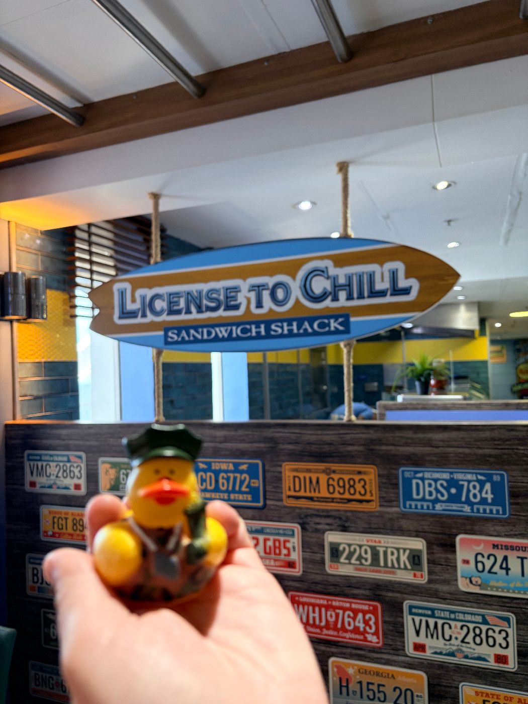 License to Chill Bar - Margaritaville Paradise