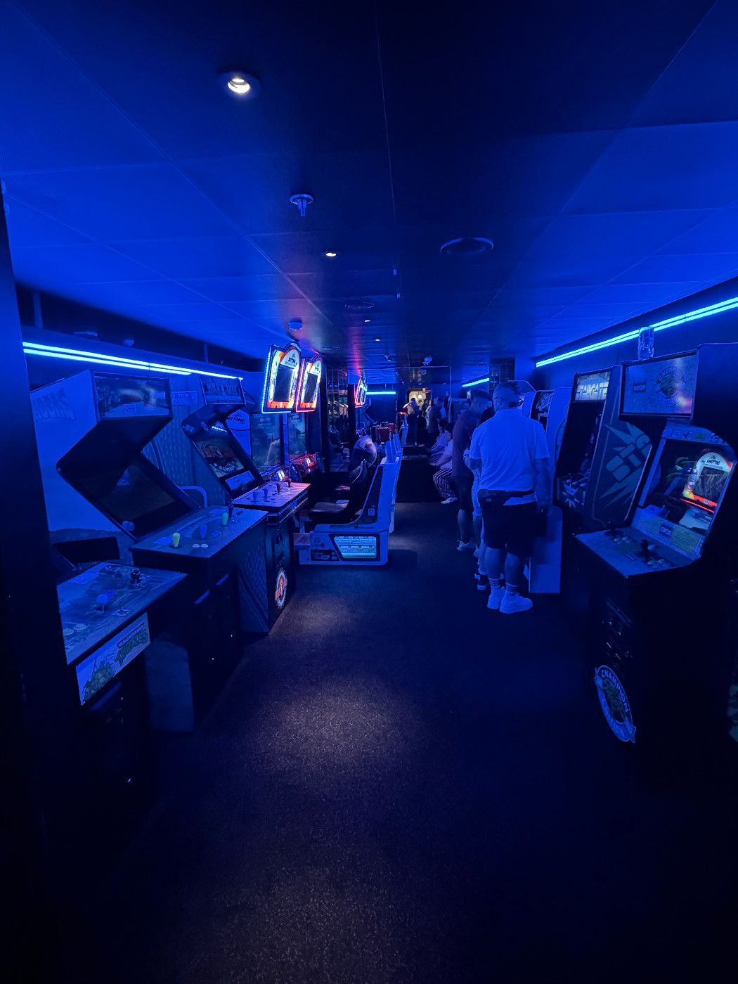 The Arcade - Valiant Lady