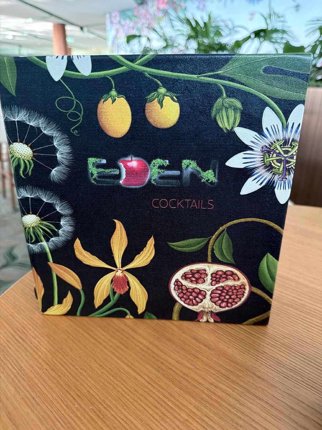 Eden Bar - Celebrity Beyond