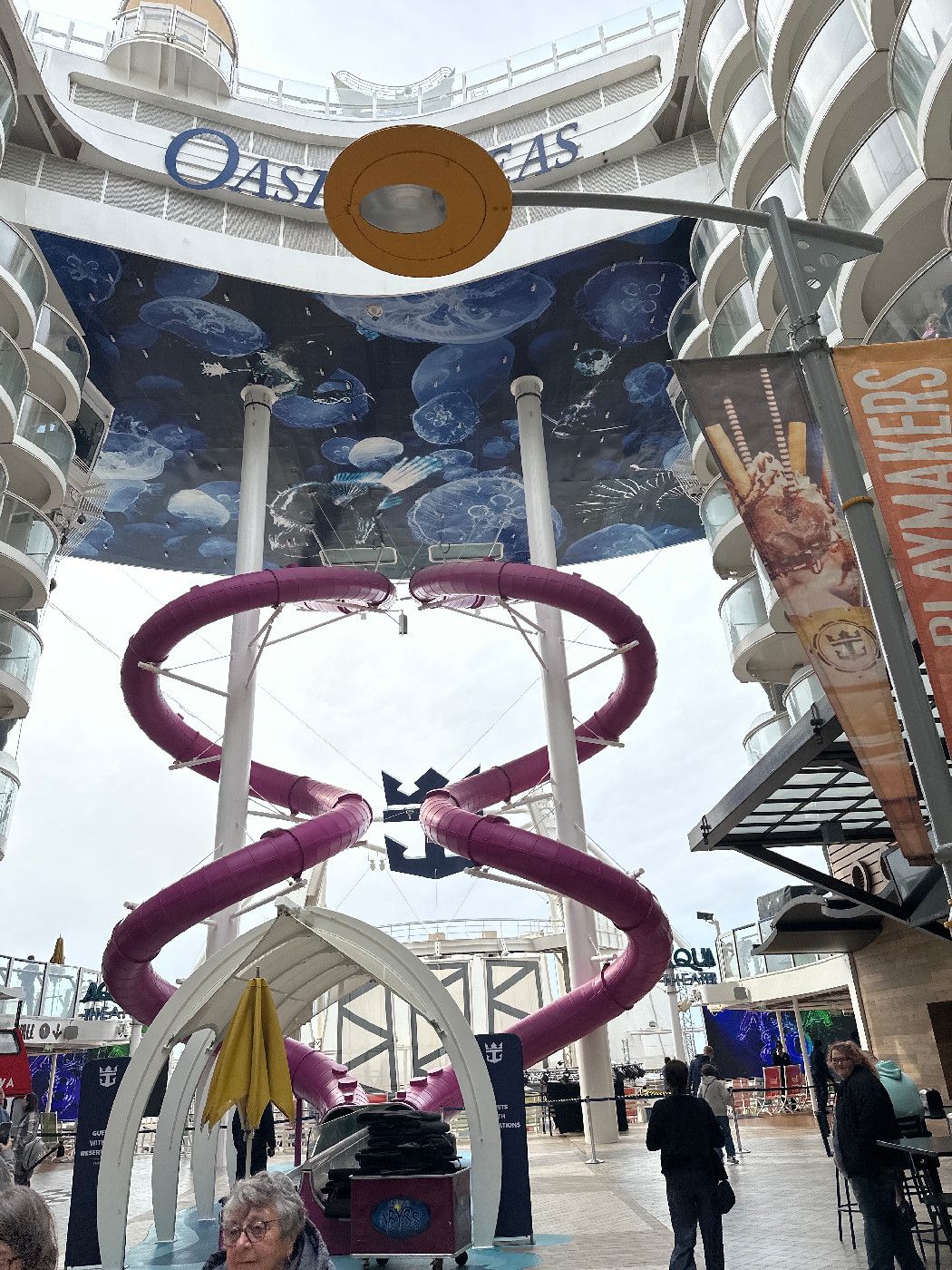Ultimate Abyss - Oasis of the Seas