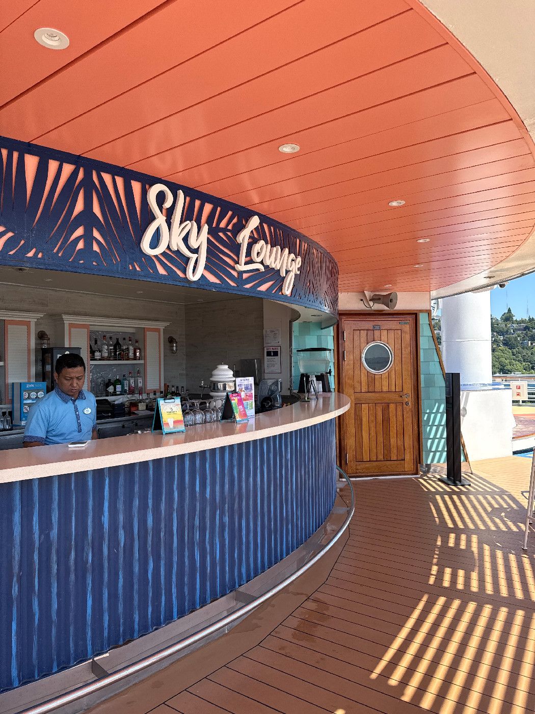 Sky Bar - Voyager of the Seas