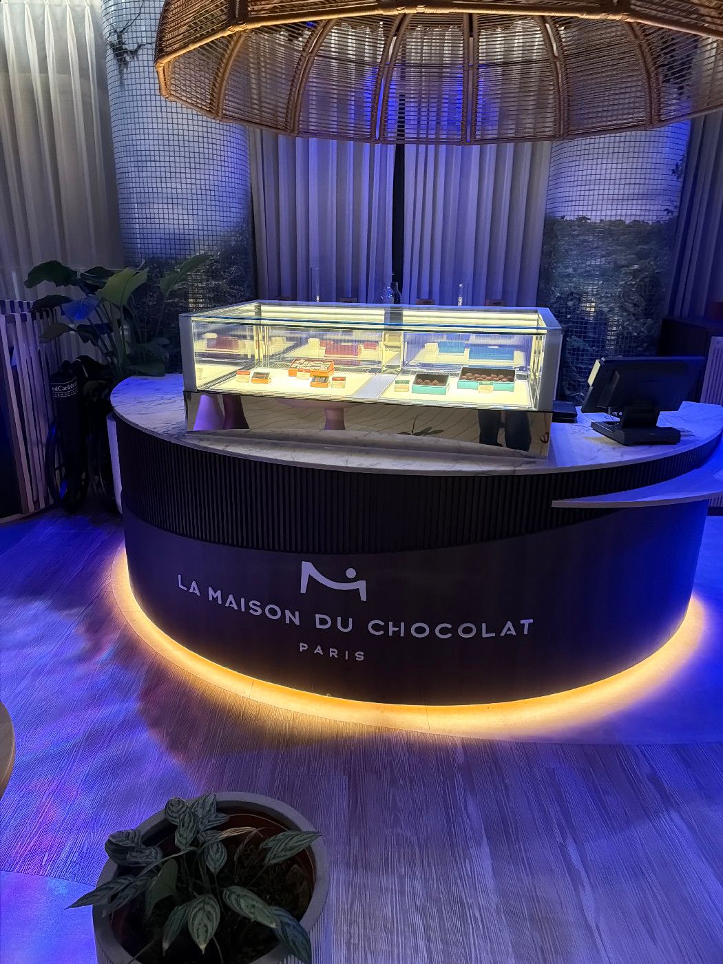 Chocolatier - Celebrity Beyond