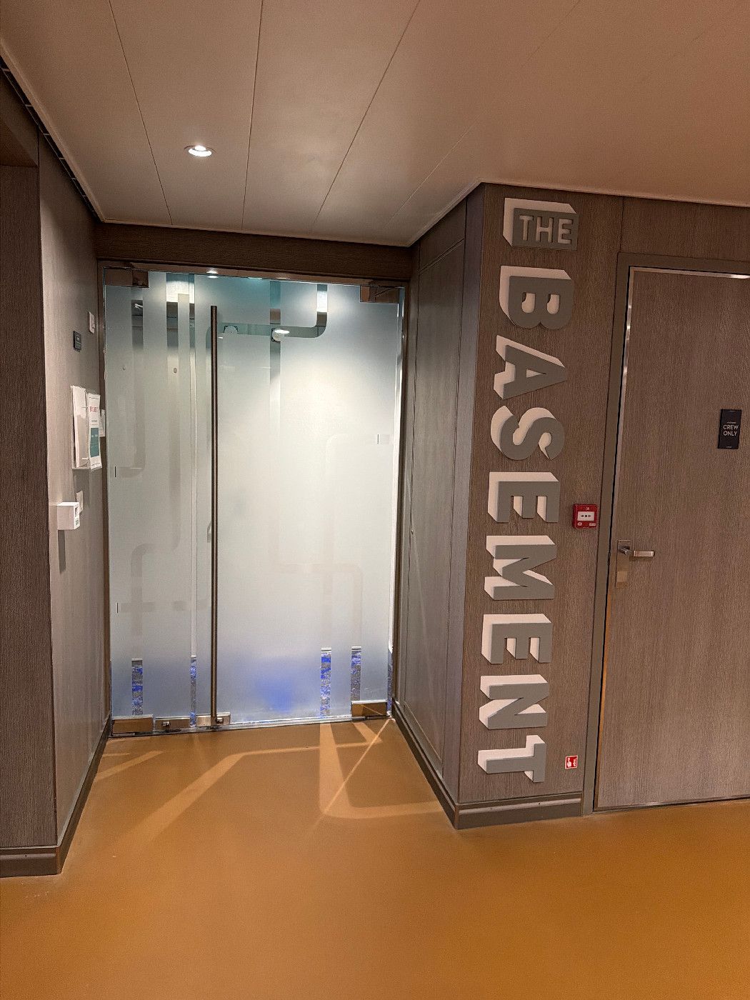 The Basement - Celebrity Beyond