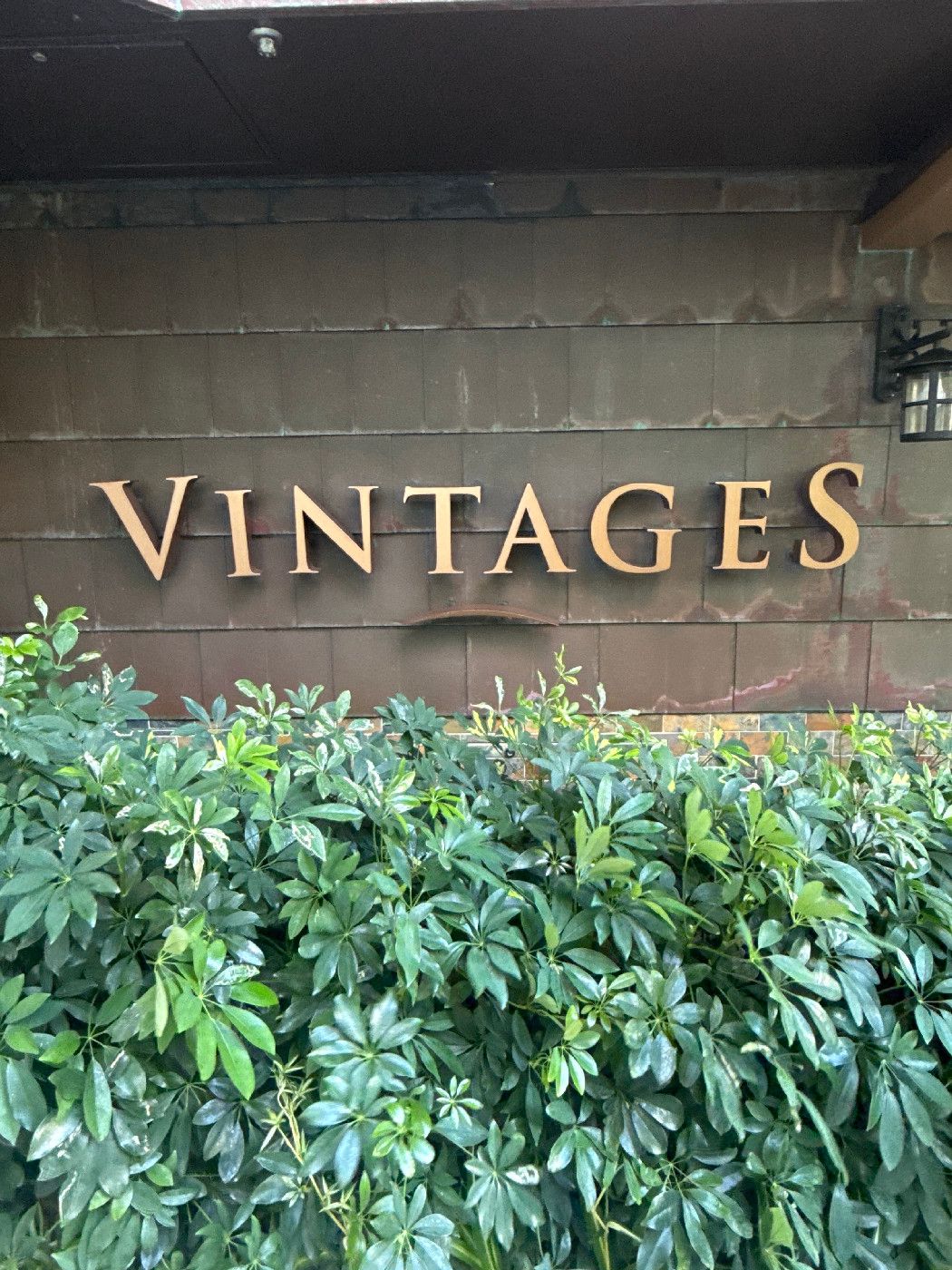 Vintages - Allure of the Seas