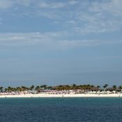Cabin #5273 - Carnival Mardi Gras — review photo 1 by TrimEmber