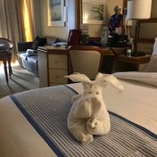 Cabin #8720 - Carnival Encounter — review photo 4 by GleamingMonsoon
