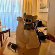 Cabin #8720 - Carnival Encounter — review photo 3 by GleamingMonsoon