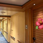 Cabin #7328 - Carnival Firenze — review photo 1 by ArdentMinnow