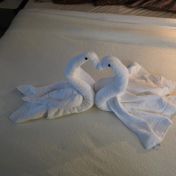 Cabin #12706 - Norwegian Aqua — review photo 1 by ElderSkipper