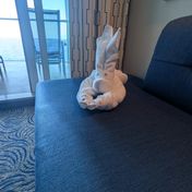 Cabin #9246 - Quantum of the Seas — review photo 1 by HaleStingray