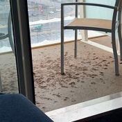 Cabin #11262 - Oasis of the Seas — review photo 1 by GentleOpal