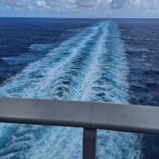 Cabin #17018 - Icon of the Seas — review photo 1 by ZippyWren