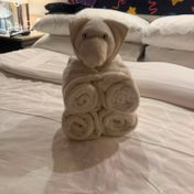 Cabin #M402 - Sky Princess — review photo 4 by JazzyDinghy