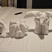Cabin #8290 - Odyssey of the Seas — review photo 1 by CrazyTrident