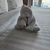 Cabin #8290 - Odyssey of the Seas — review photo 2 by CrazyTrident