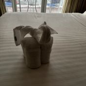 Cabin #10329 - Oasis of the Seas — review photo 1 by SundryGust